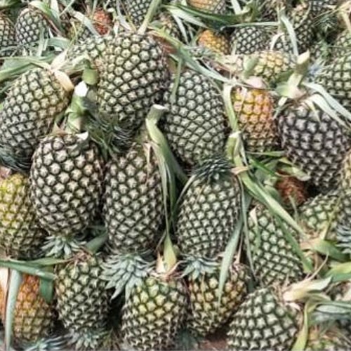 Ananas