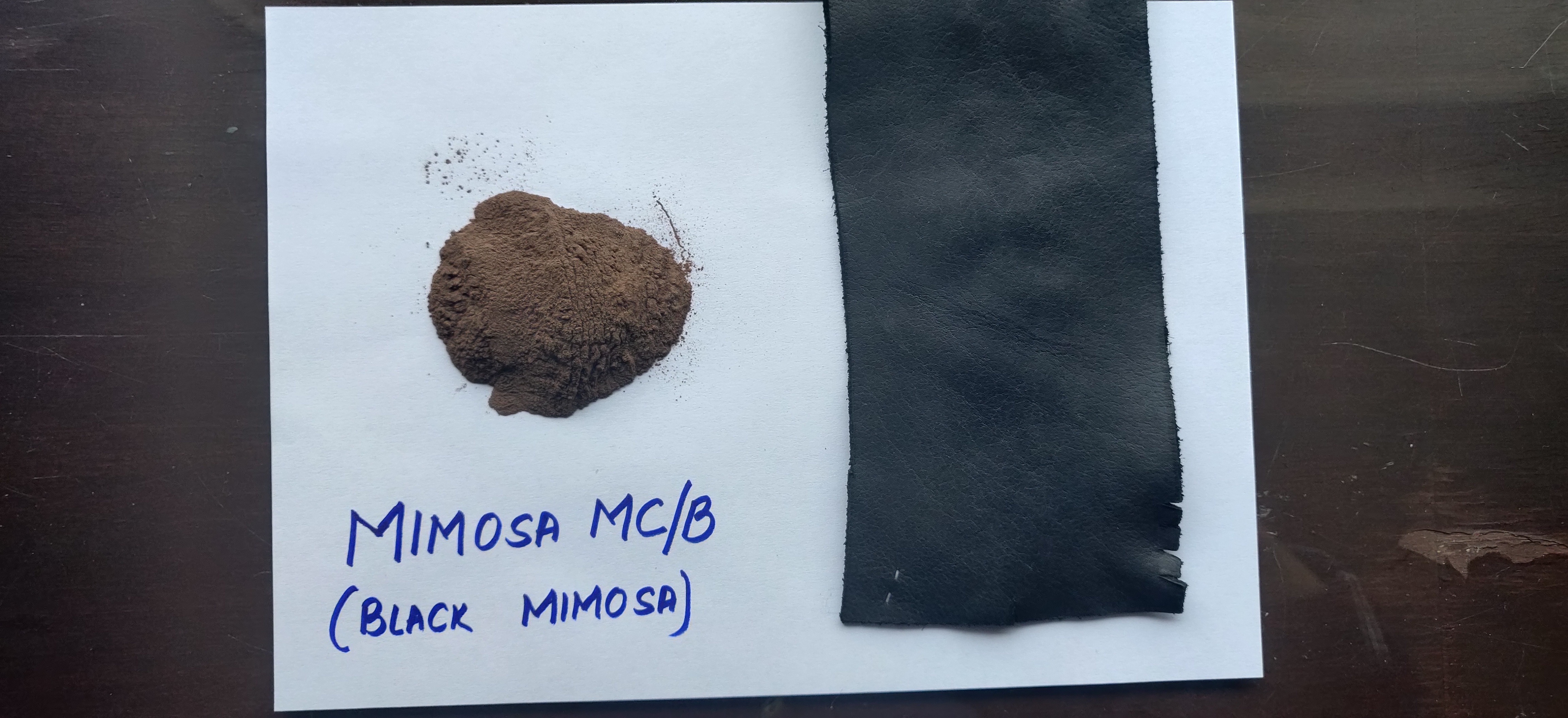 BLACK MIMOSA ( MIMOSA MC/B)