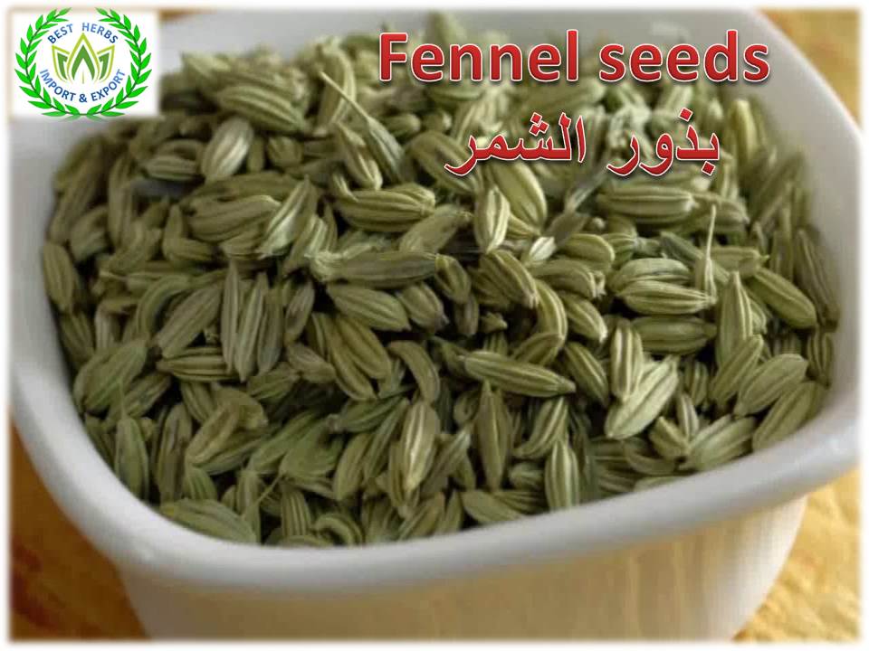 fennel