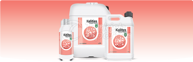 KALITES 0.0.25-42S03