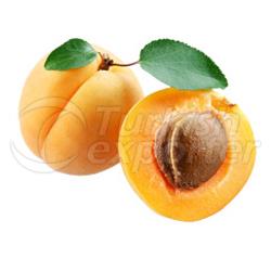 Apricot