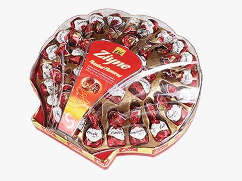 Elif Ziyne Mussels P.V.C Gift Box