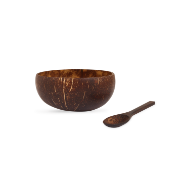 Coconut Bowl _ Spoon