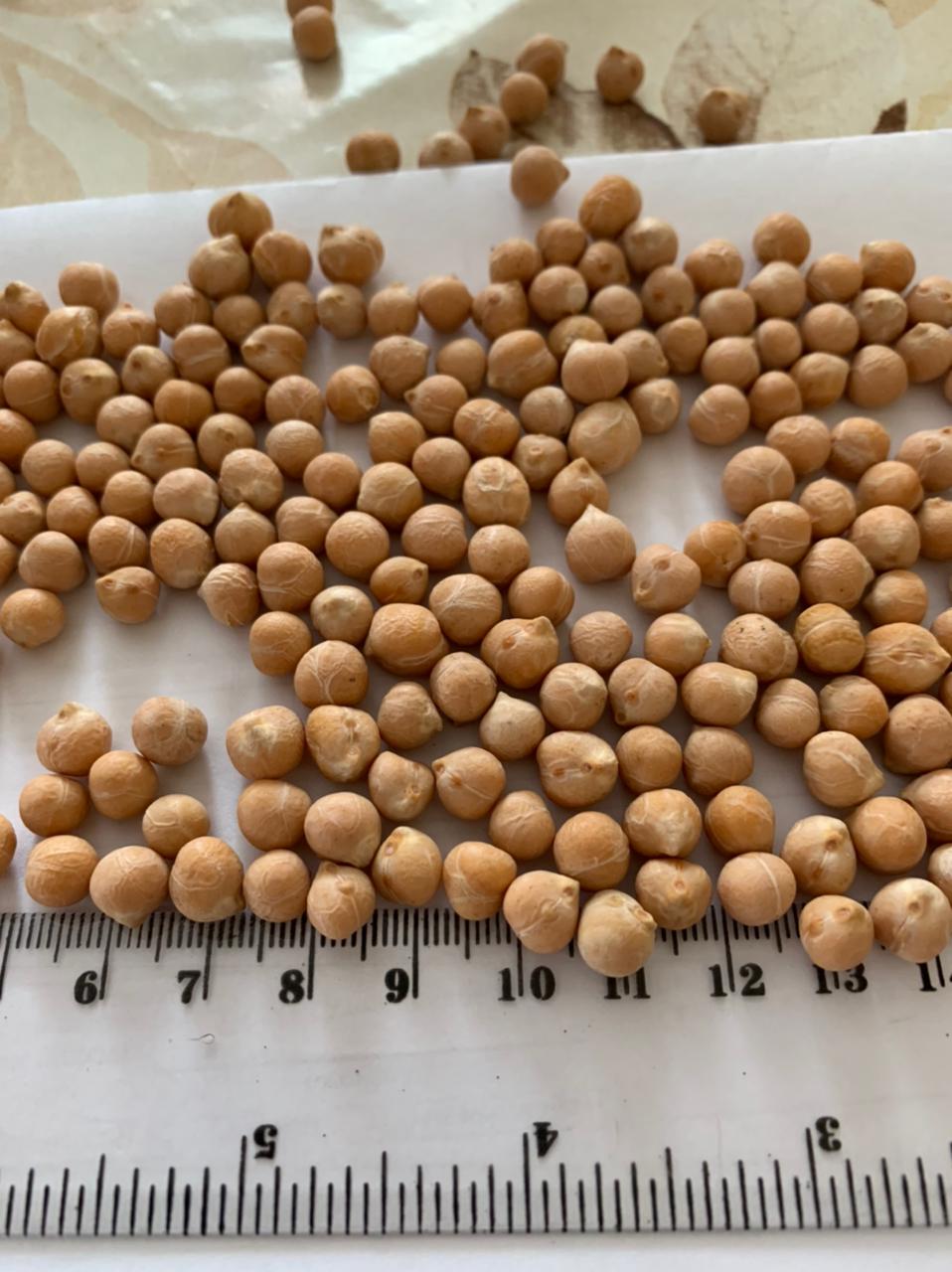 Chickpeas