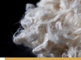 Washed Wool