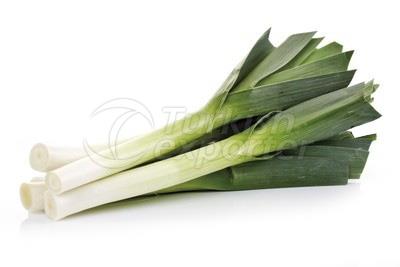 Leek