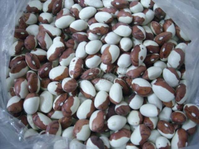 Red White Kidney Beans