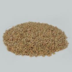 Turkish Origin Green Lentil