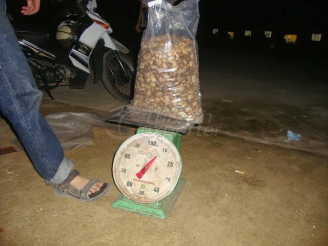 Raw and dry salted cashew nuts