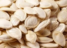 Pumpkin Seed