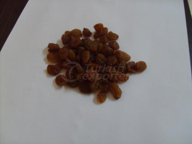 Sultana Raisin Type