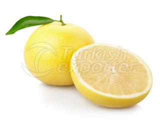 White Marsh Grapefruit