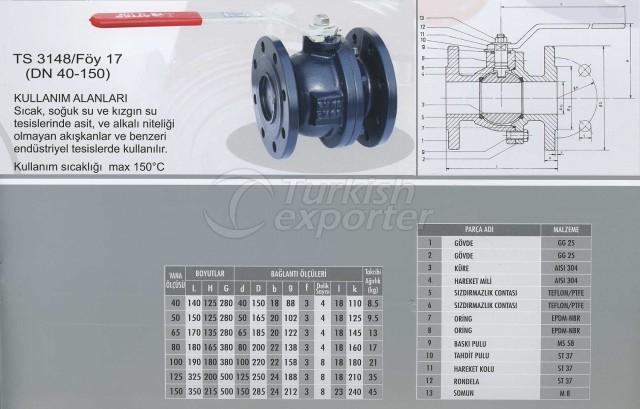 Kuresel Vana Tam Gecisli PN 10