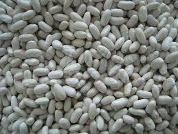 White Kidney Beans