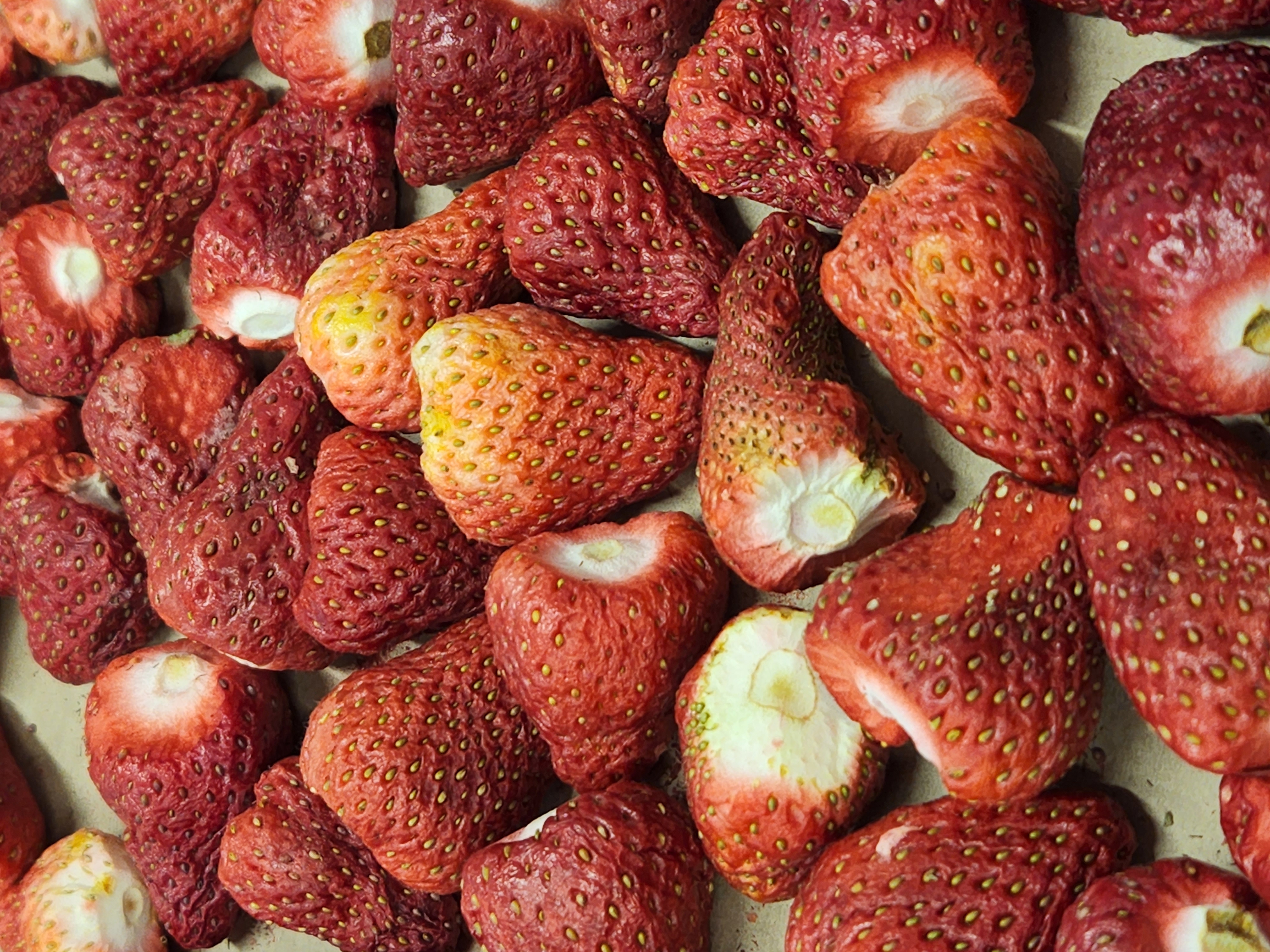 Freeze Dried Strawberry