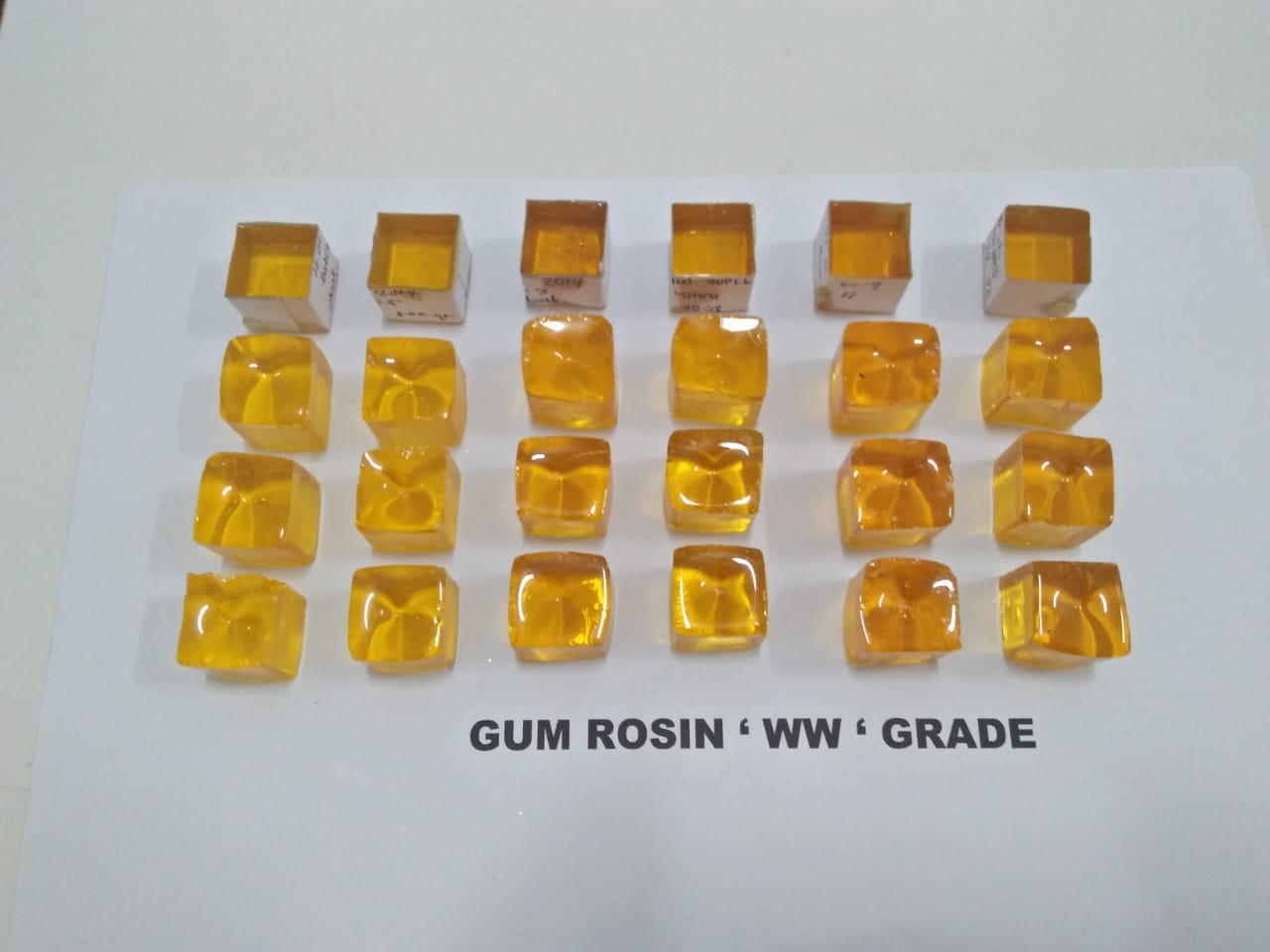 Gum Rosin (PM-002)