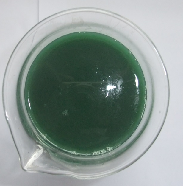 liquid seaweed extract concentration for Flushing and Foliar fertilizer