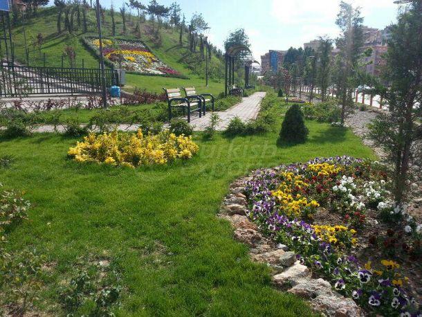 Municipality Hydroseedi̇ng