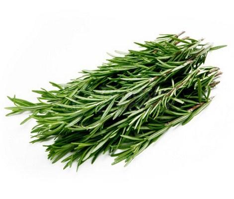 Rosemary