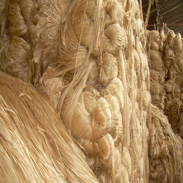 Raw Jute