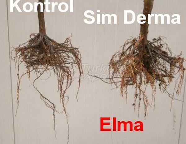 Apple Root Sim Derma