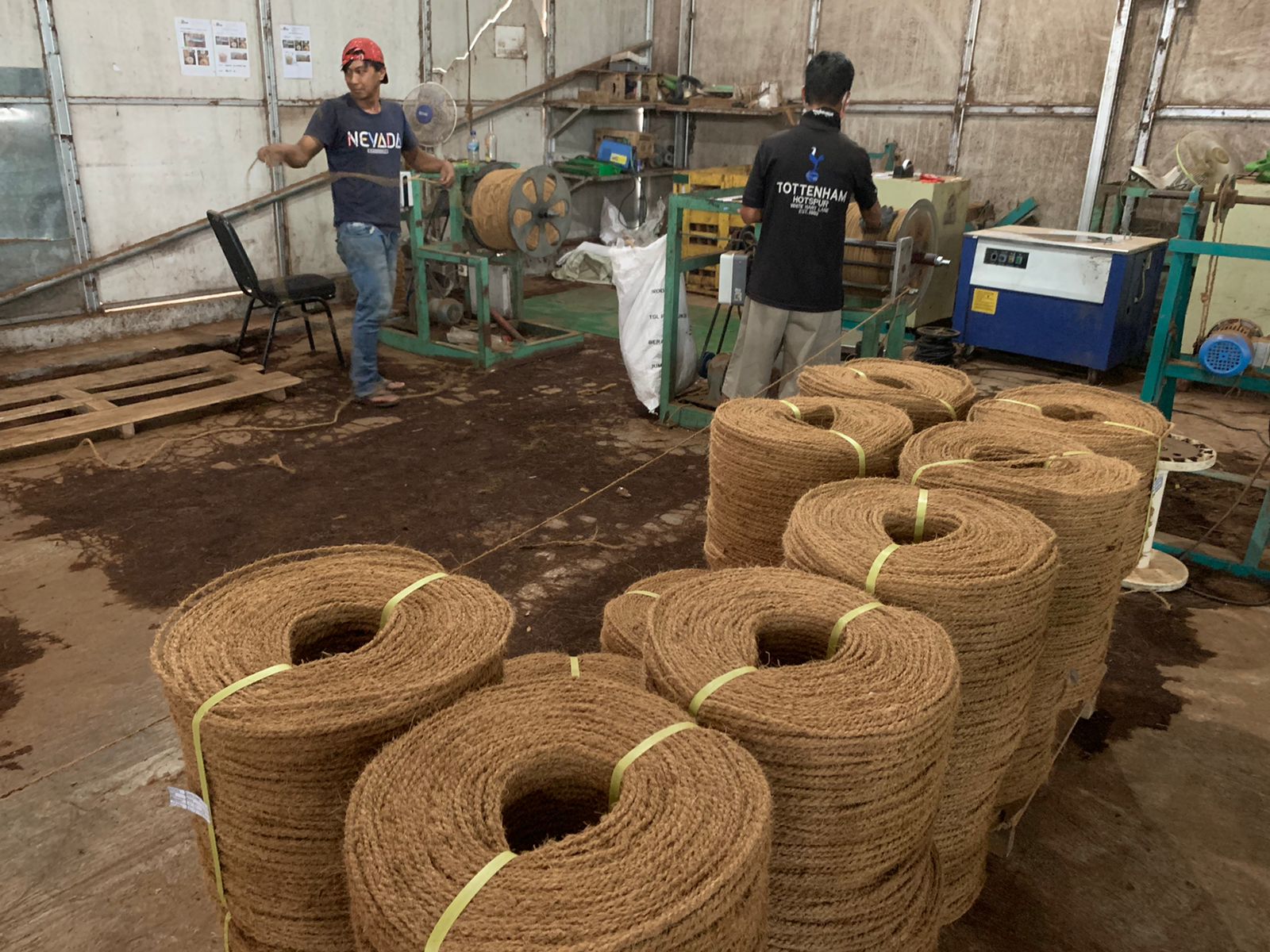 Coir / Cocofiber / Coconut Fiber