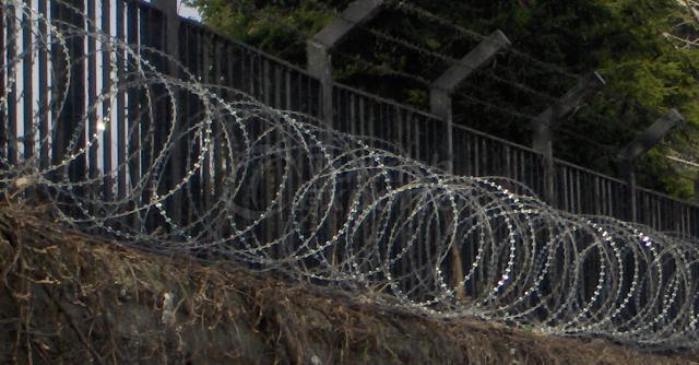 Razor Wire