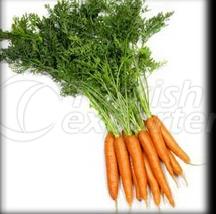 Carrot