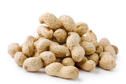 Peanut