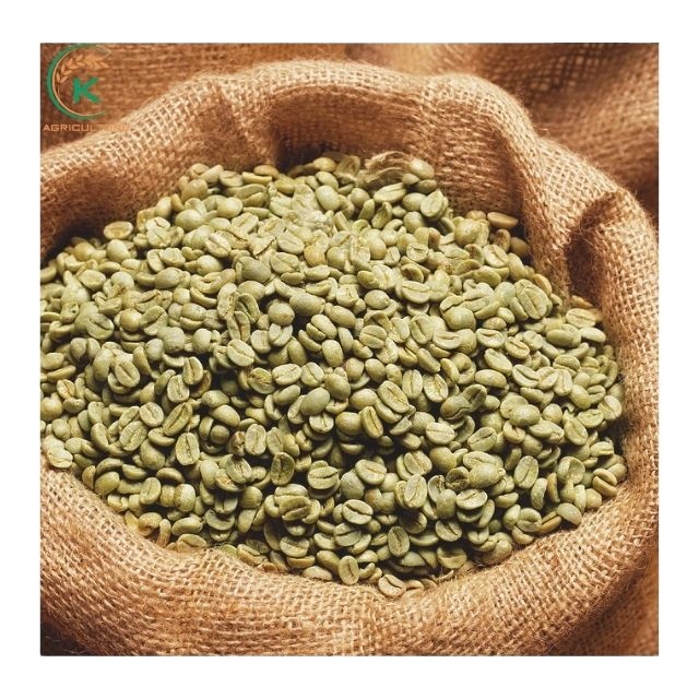 Arabica Green Coffee Beans Specialty Quang Tri G1, S18