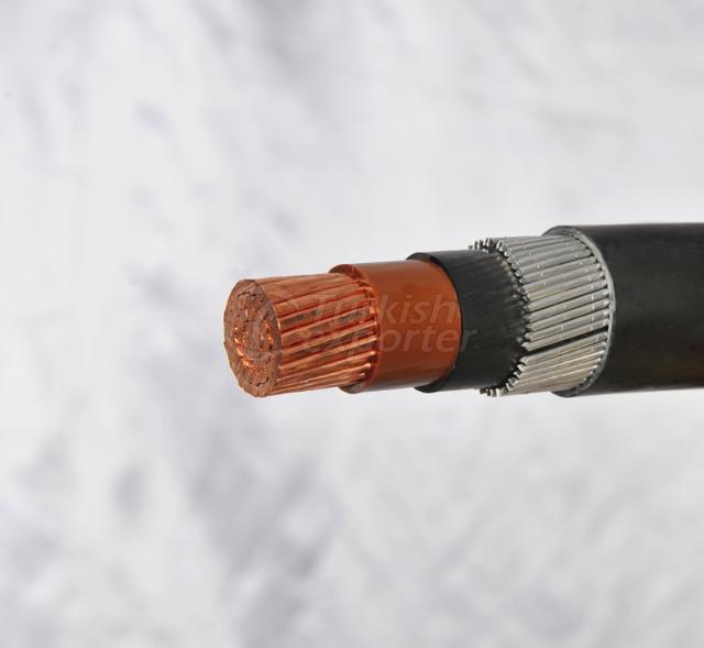 armored cable