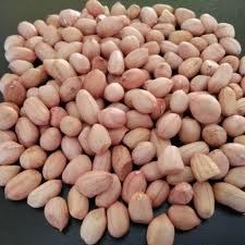 Groundnut 