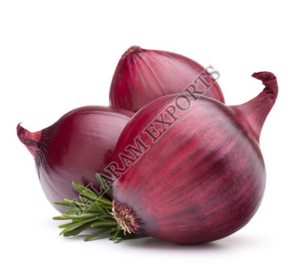 Fresh Onion