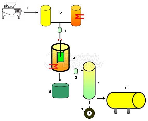 Discrete System