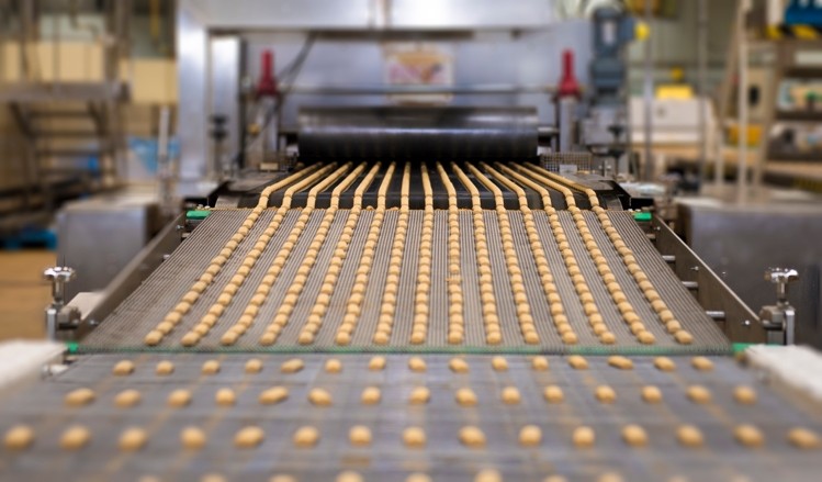  BISCUITS MANUFACTURING 