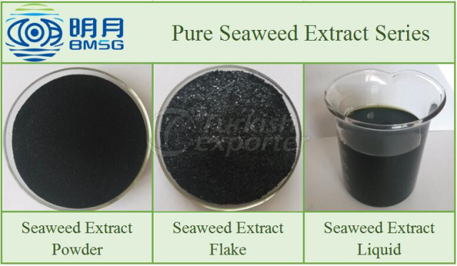 pure seaweed extract fertilizer