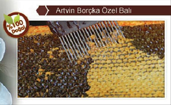 العسل الخاص Artvin Borchka