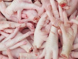 FROZEN CHICKEN FEET EXPORT FROM BRAZIL