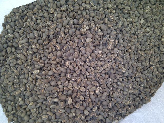 West Java Green Coffee Beans