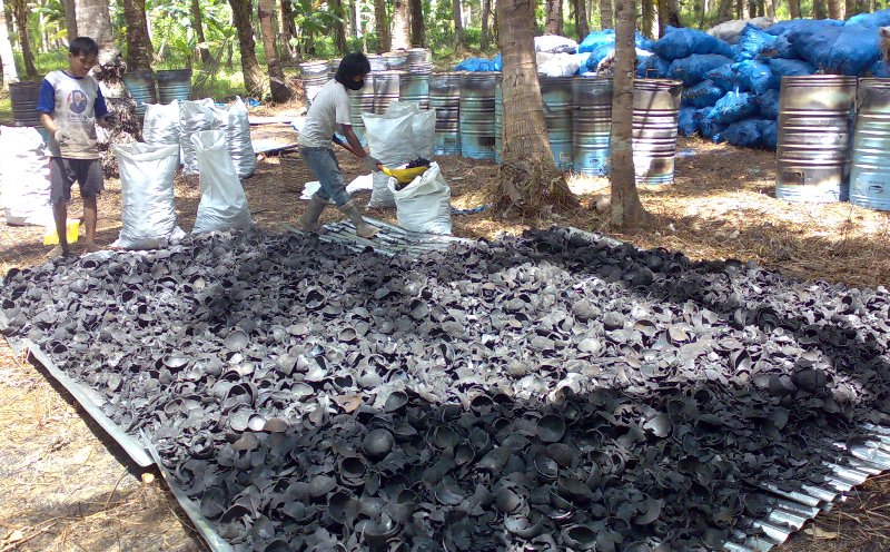 Coconut Shell Charcoal