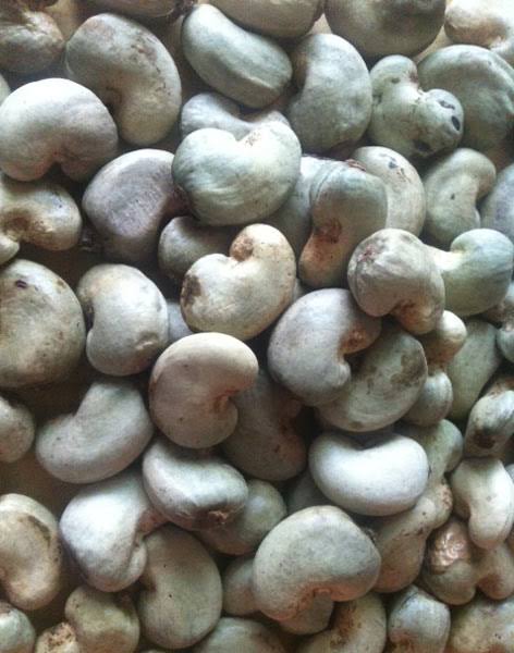 Uncracked Cashew Nuts 