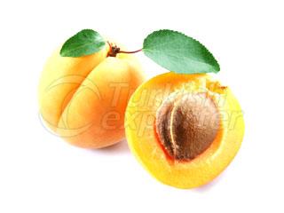 Trintina Apricot