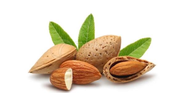 Almond