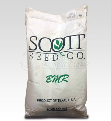 Sudan Grass hybrid - Master BMR