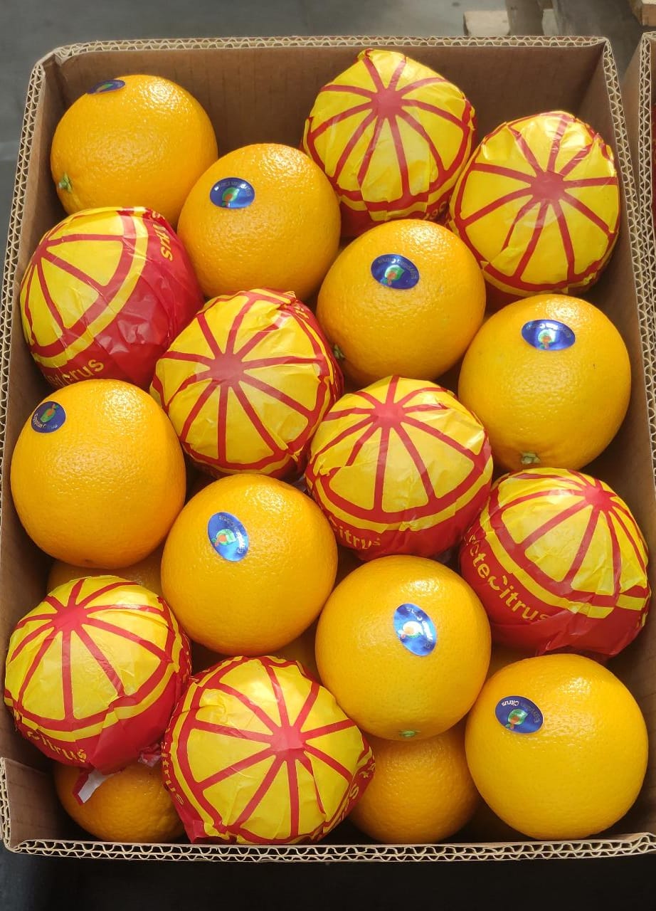 Egyptian Orange