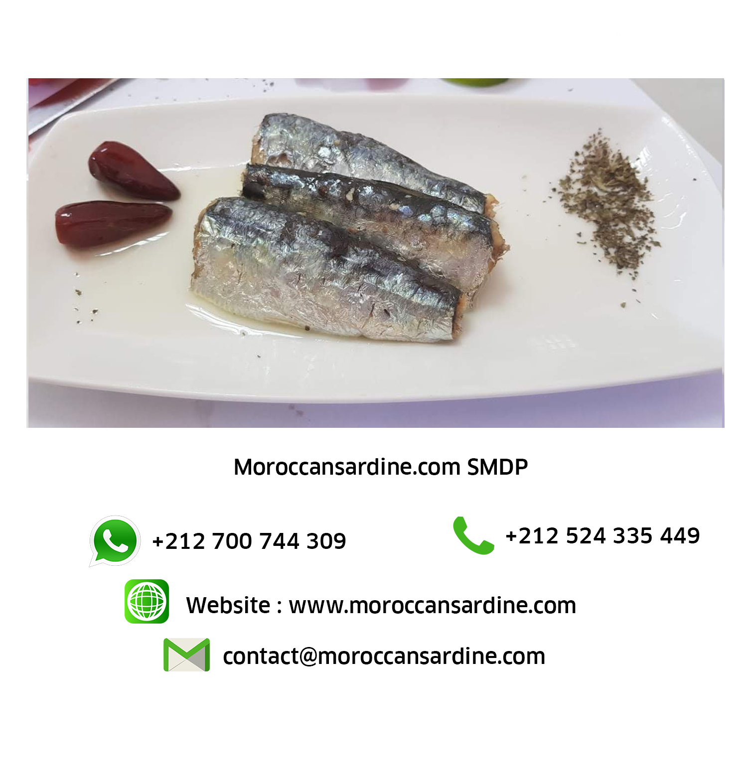 Moroccan sardines export 