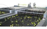 Stainless  Type Screening Machine