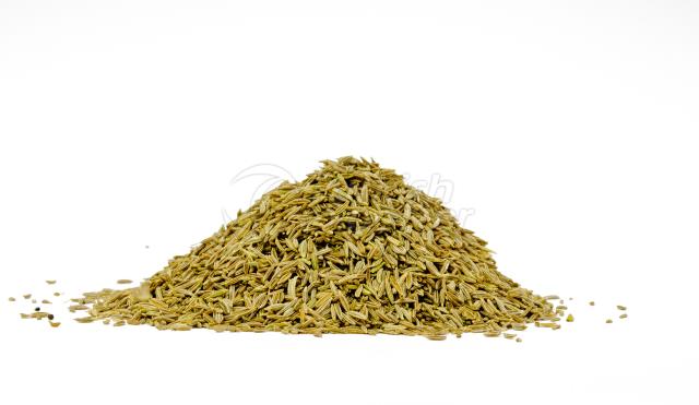 FENNEL SEEDS