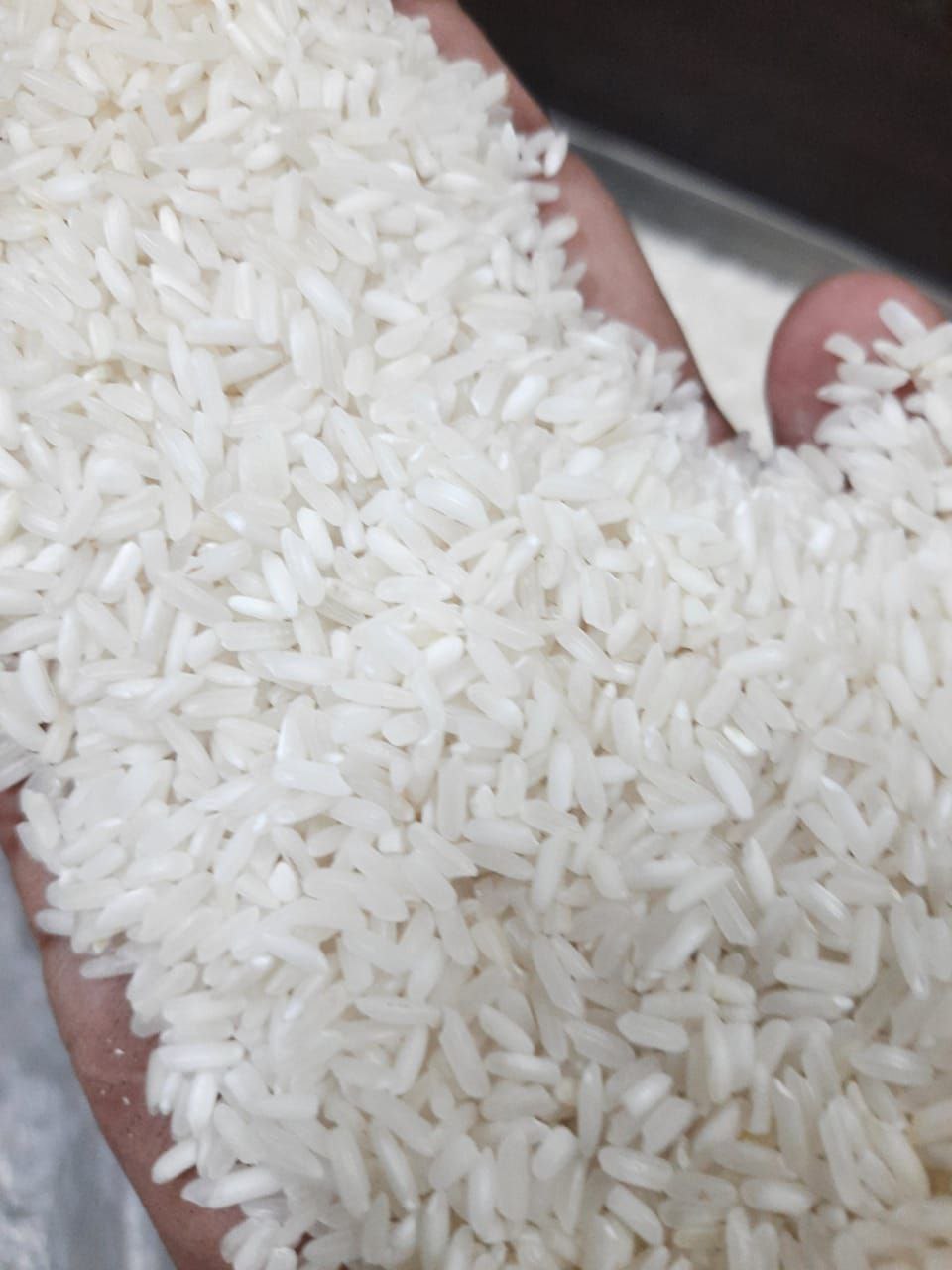 INDIAN NON BASMATI RICE