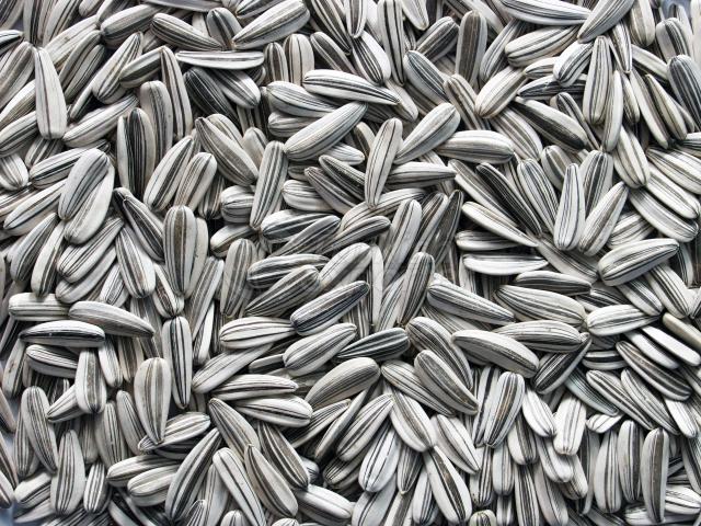 Sunflower seeds